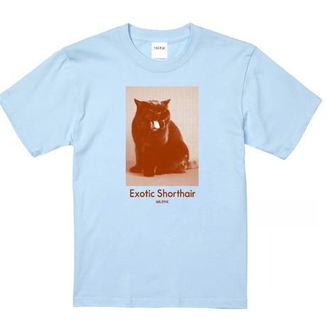 【Mr.Pink&Co.】Watts Light blue Tshirt/Brown