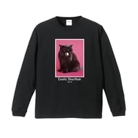 【Mr.Pink&Co.】Watts Black long T-shirt/Pink