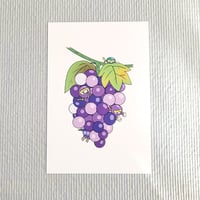 ポストカード「隠密ぶどう衆」