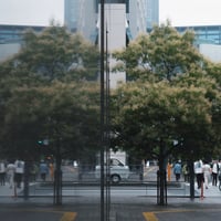 Reflected Reality