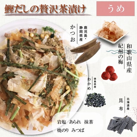 身体にやさしい出汁茶漬け　10パックセット