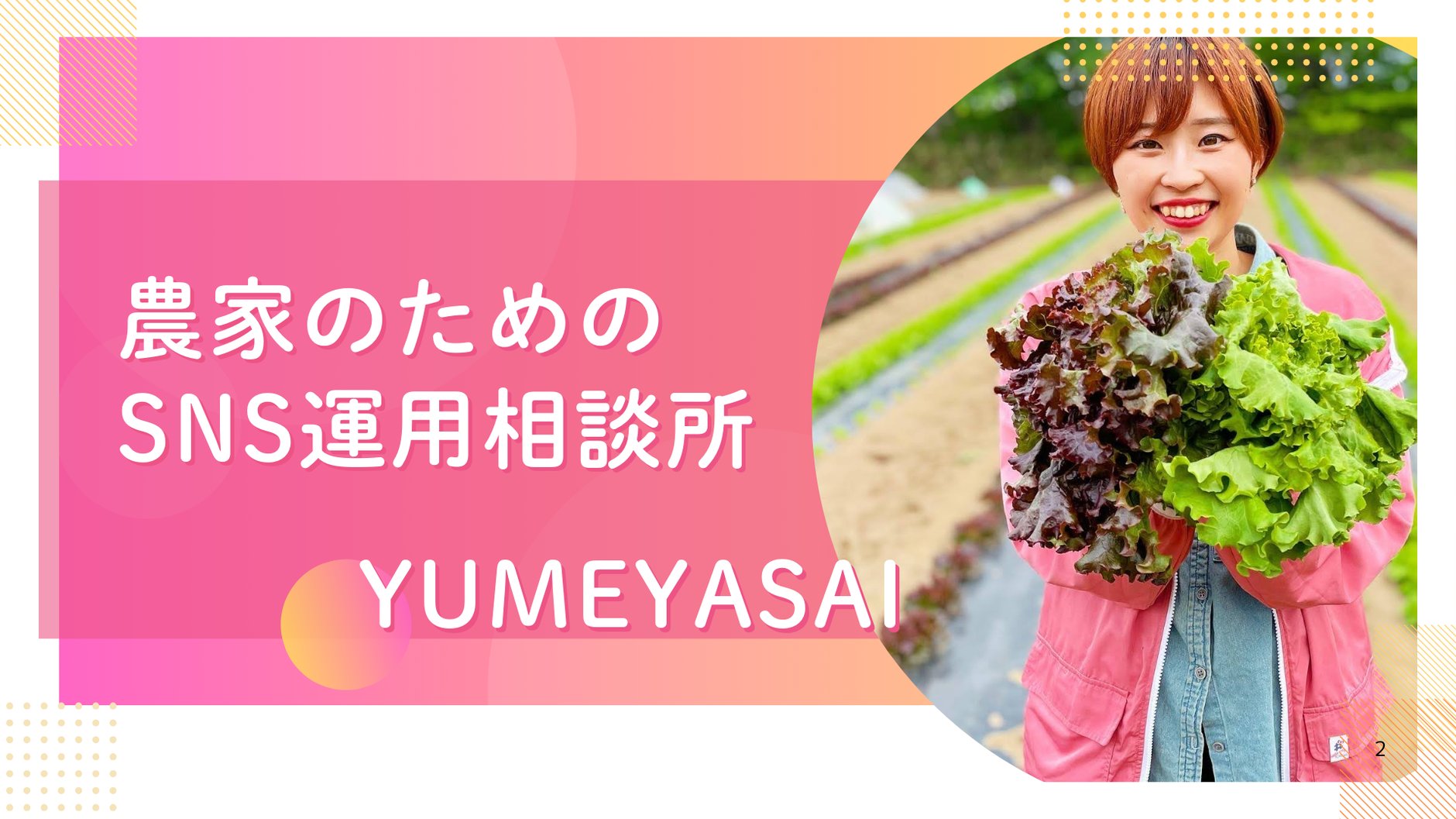 YUMEYASAI