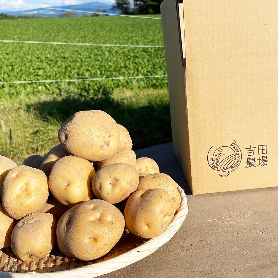 北海道産じゃがいも【きたあかり】 サイズ混合5㎏ 予約販売 | 吉田農場