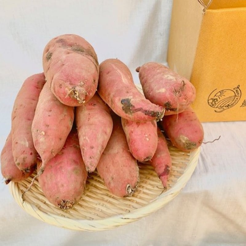 熟成】紅はるか【土付き】サイズ混合4㎏ 予約販売 | 吉田農場