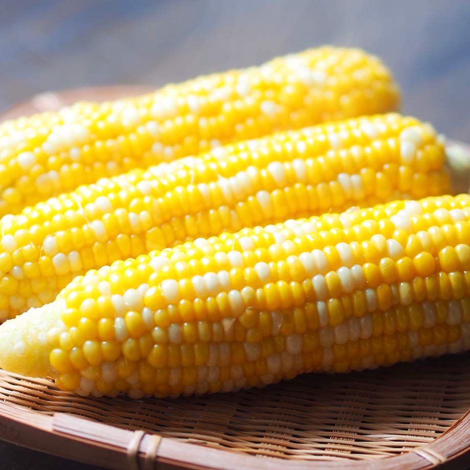 とうもろこしドルチェドリーム 10本（8月下旬発送予定） | 吉田農場