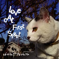 CD『Love Cat First Sight』BakaNeko Project
