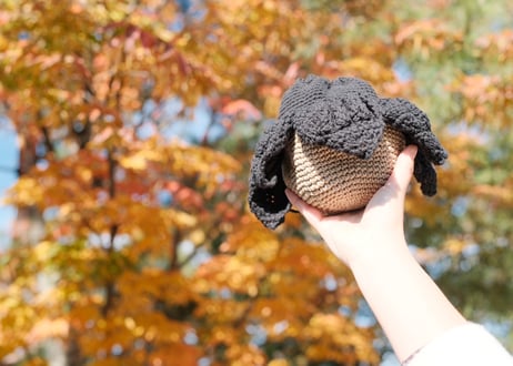HANAhana pouch