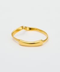Modeling FLUID ring gold