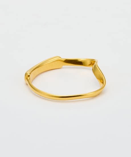Modeling FLUID ring gold