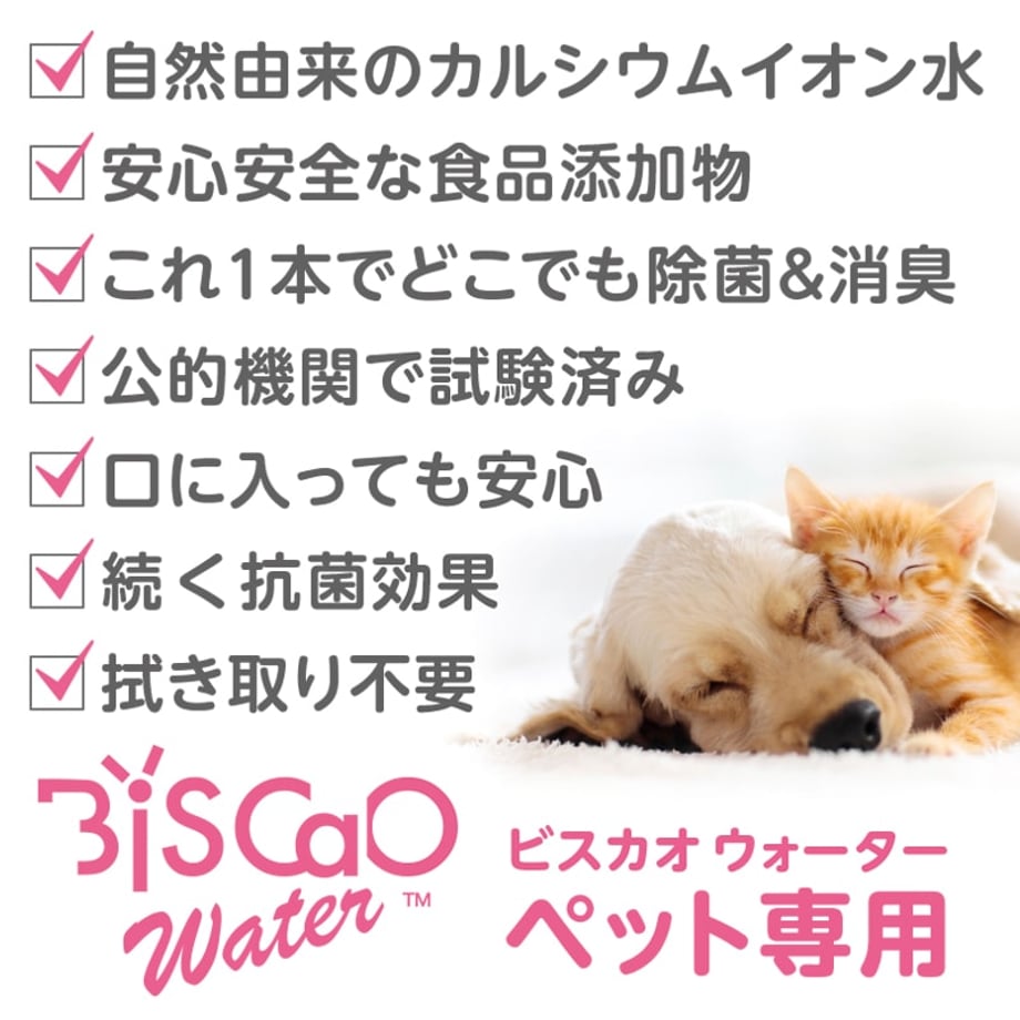 6743dddca7ffd400c2a21d92