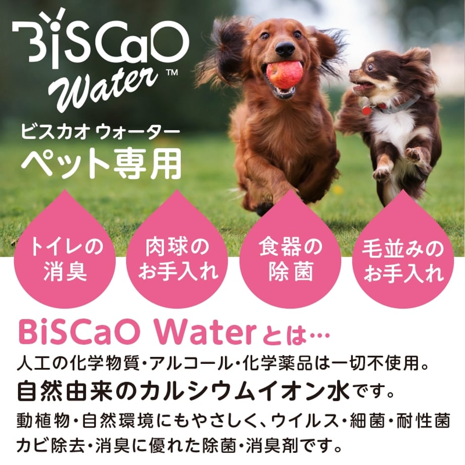 6743dddca7ffd400c2a21d92