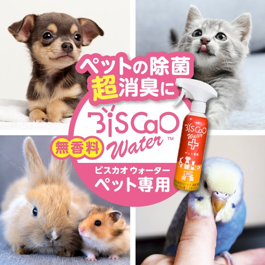 6743dddca7ffd400c2a21d92