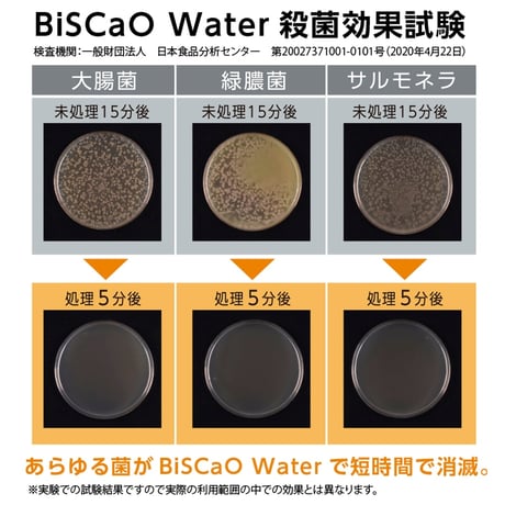 BiSCaO Water　ビスカオウォーター　スプレーボトル300ml