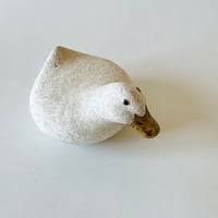 おもちアヒル　足元の命を見つめる