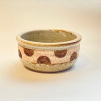 ワンニャンボウル（呼応・やや深め）