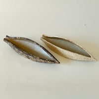 カエンボク　殻の器
