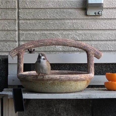 野鳥を呼ぶ器（横長楕円カゴ形）