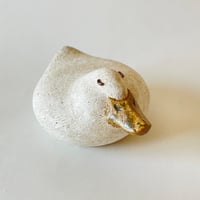 おもちアヒル　昼寝　2606