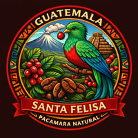 グアテマラ サンタフェリーサ パカマラ【 プラム×ストロベリー×グレープフルーツ】Santa Felisa Estate, Red Pacamara, Natural