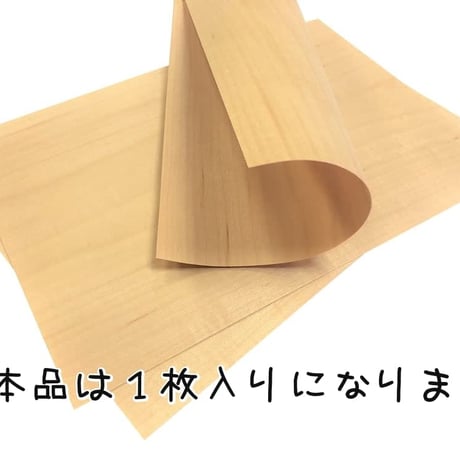 0.55ｍｍ厚 メープル(楓)材 A4size【210×297ｍｍ】 1枚
