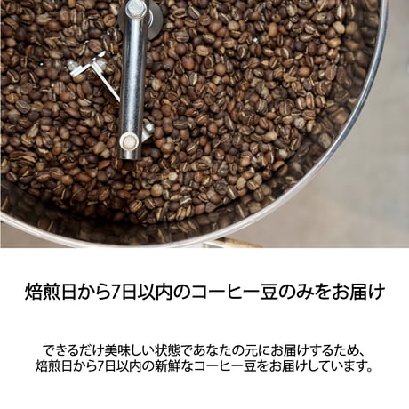 コーヒー豆3種のお試しセット
