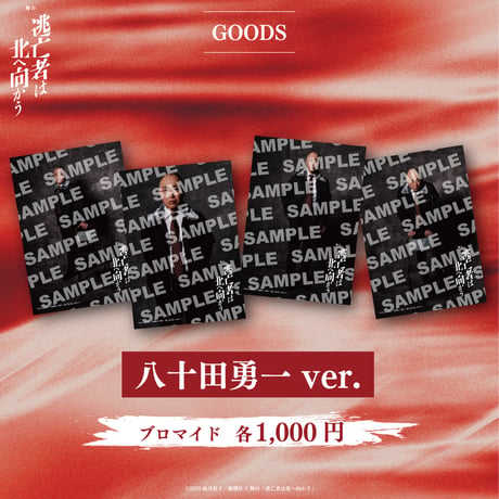 舞台「逃亡者は北へ向かう」ブロマイド【B】