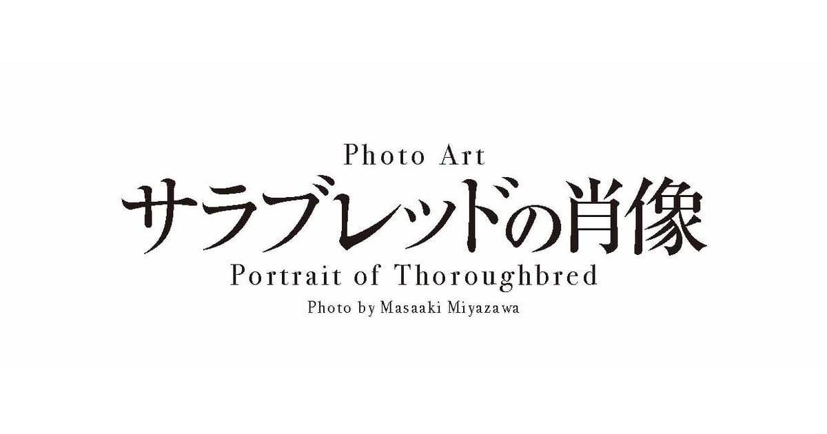 イクイノックス 馬の頭部 鉛筆画 鉛筆画 圧勝！イクイノックス！！ - いつかのイラスト - pixiv