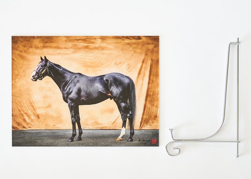 イクイノックス＞フォトアクリル(W310×H232mm) スタンド付き