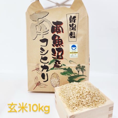 甚七