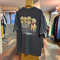 GILDAN PIKES FOR PUPS 半袖 Tシャツ 犬 プリント ギルダン D705