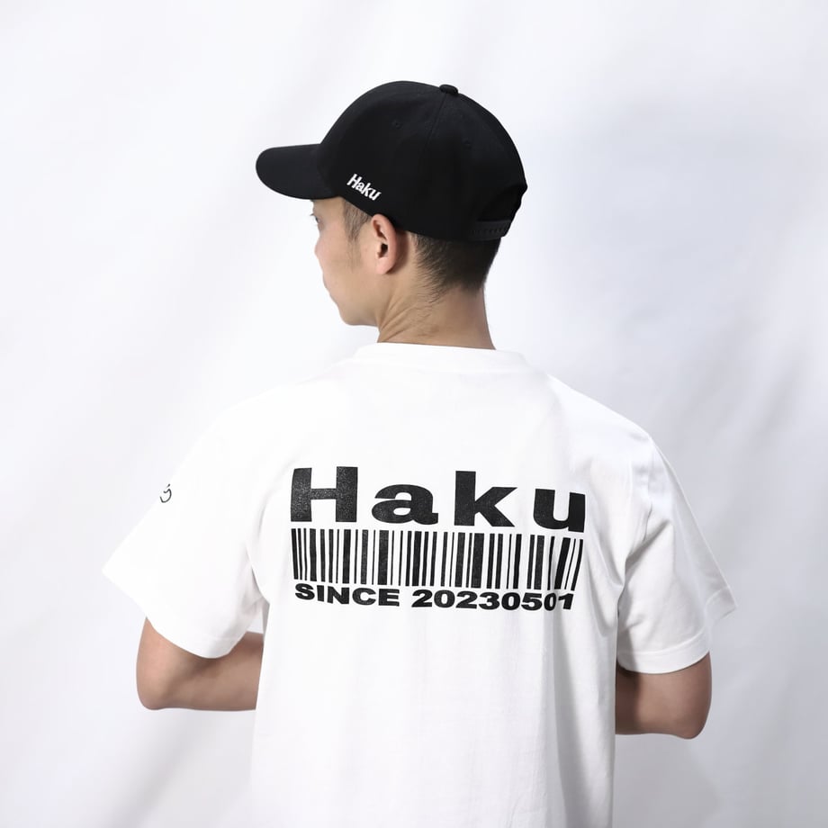 67fcde73e2178533f0dc3ac8