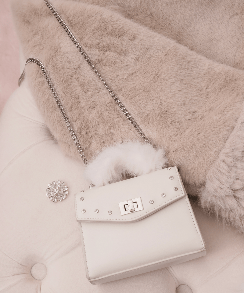 40,000円購入ノベルティ】ミニショルダーバッグ | DOLCELICHE