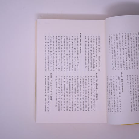 アートの入り口〔アメリカ編〕｜河内タカ