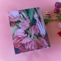 Digging for Clams｜Lucia Bell-Epstein