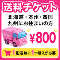 【北海道・本州・四国・九州】の離島以外にお住まいの方の送料