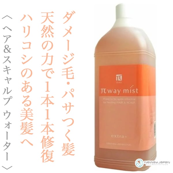 パイウェイ　ヘアコンク業務用600ml ニューウェイジャパン パイウェイ ミストエクストラ プラス 2000ml