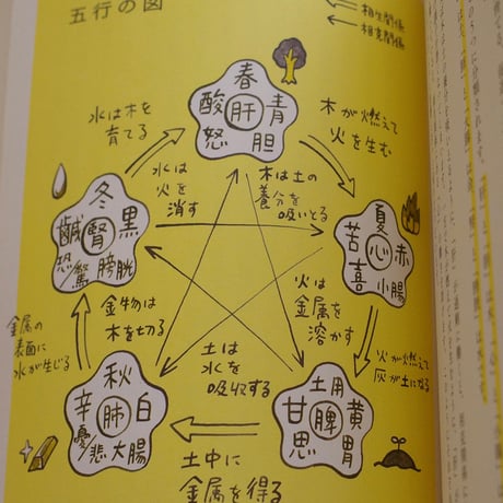 鎌倉・大船の老舗薬局が教える こころ漢方