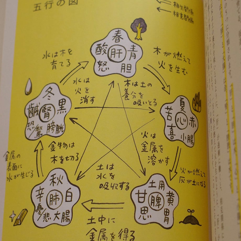 69ec508973db3d2b2e21b510