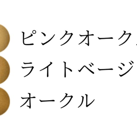 レ・リス・ブラン・ブリエ　リキッドファンデーション30g