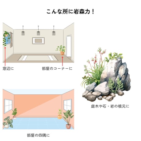 岩森力（がんしんりょく） 岩森土 1リットル + 岩森水 1リットル