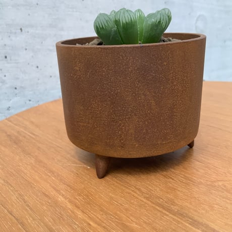 大貫タツヤ作品　鉄鉢　ハオルチア　オブツーサ
