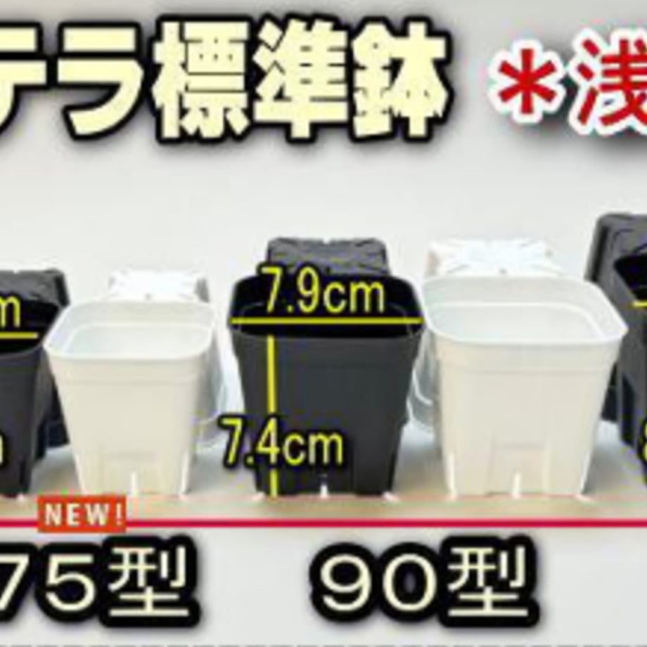 696751fb16b4e94a786f8f77