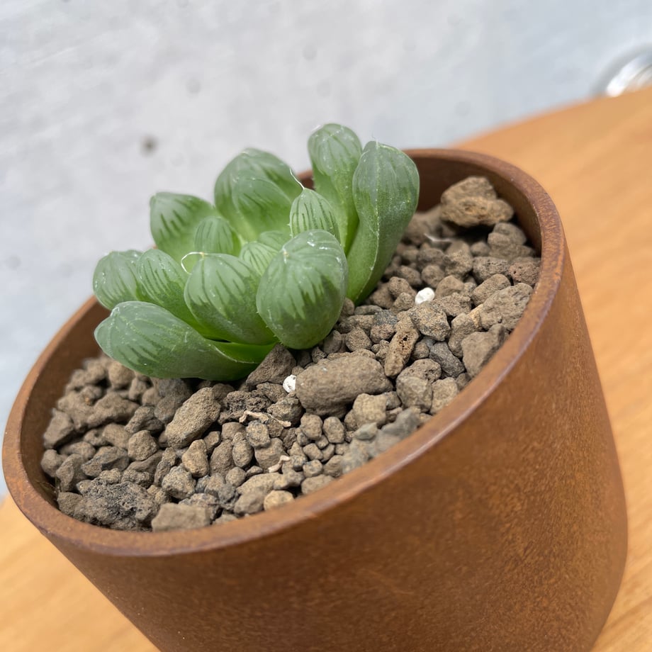 6756ba3cf90f2004cbd4a2fd