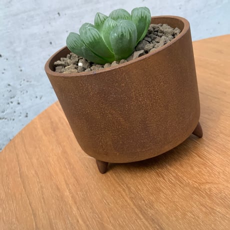 大貫タツヤ作品　鉄鉢　ハオルチア　オブツーサ