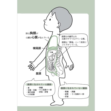 カラダは完璧