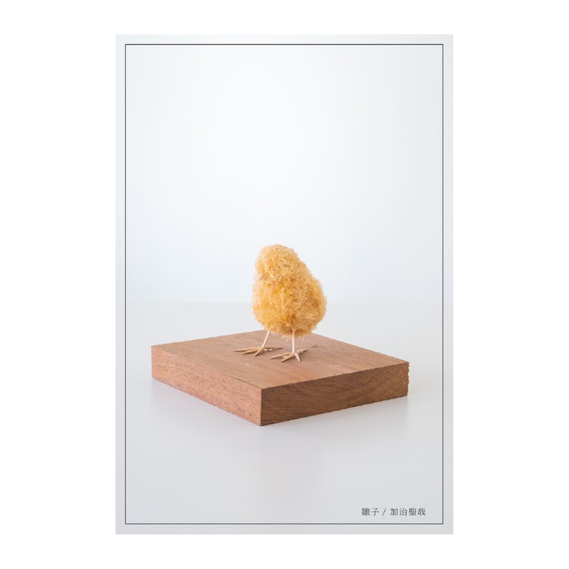 ポストカード：雛子(ヒヨコ) | 廃材再生師 加治聖哉