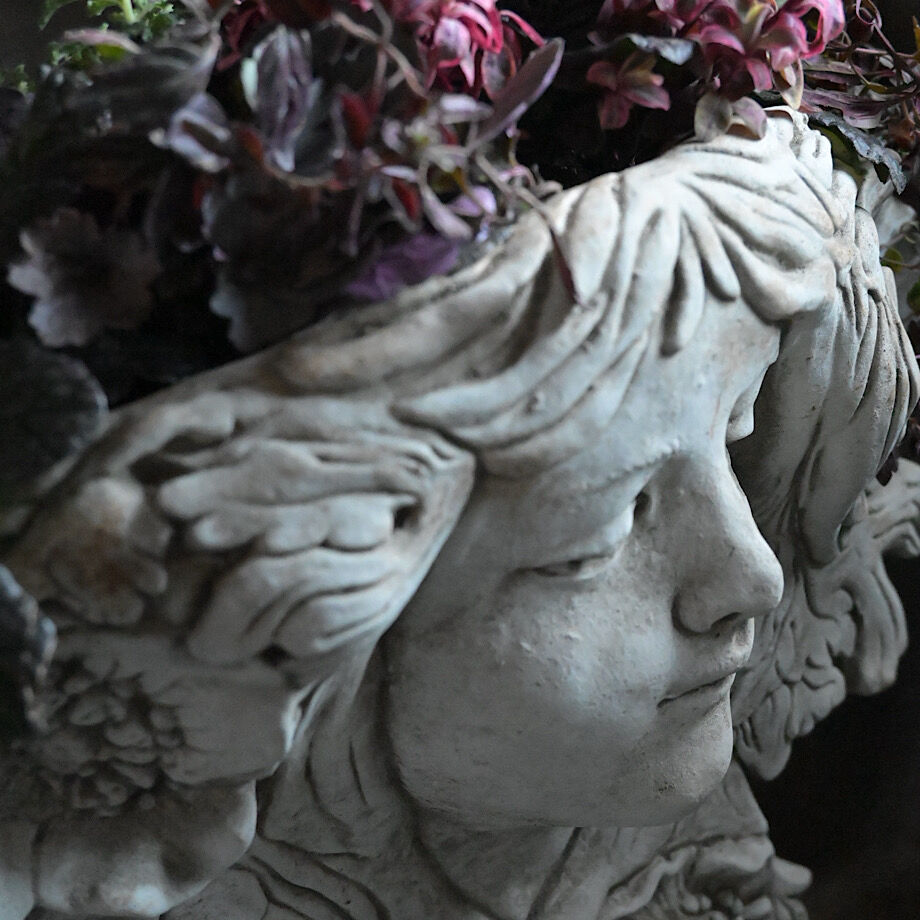 Fairy Garden
