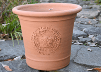 Coronation Pot  270