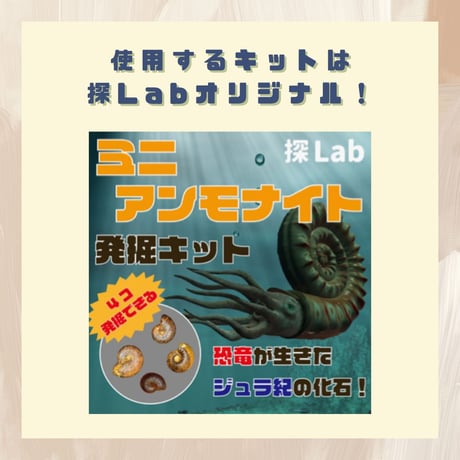 【科学教室オンラインチケット】ミニアンモナイト発掘体験 6月6日(土)14:00〜