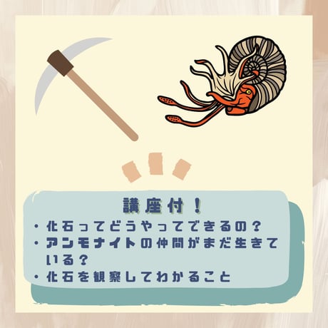 【科学教室オンラインチケット】ミニアンモナイト発掘体験 6月6日(土)14:00〜